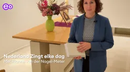 Rianne van der Nagel-Meter