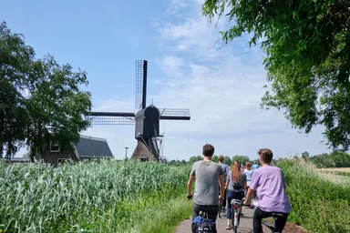Stad versus platteland? De echte verschillen liggen ergens anders