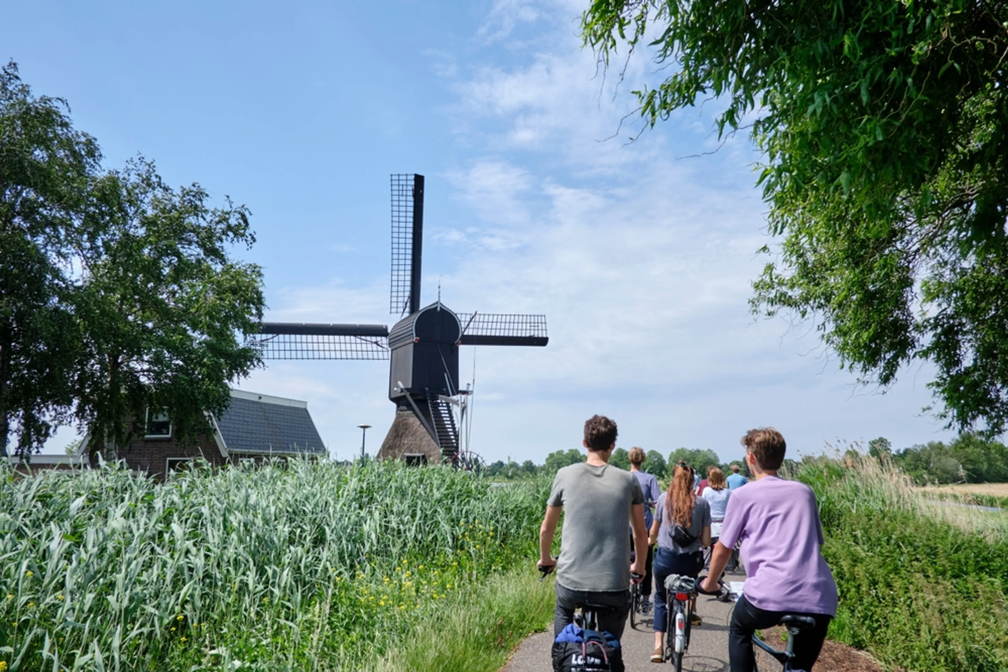 Stad versus platteland? De echte verschillen liggen ergens anders
