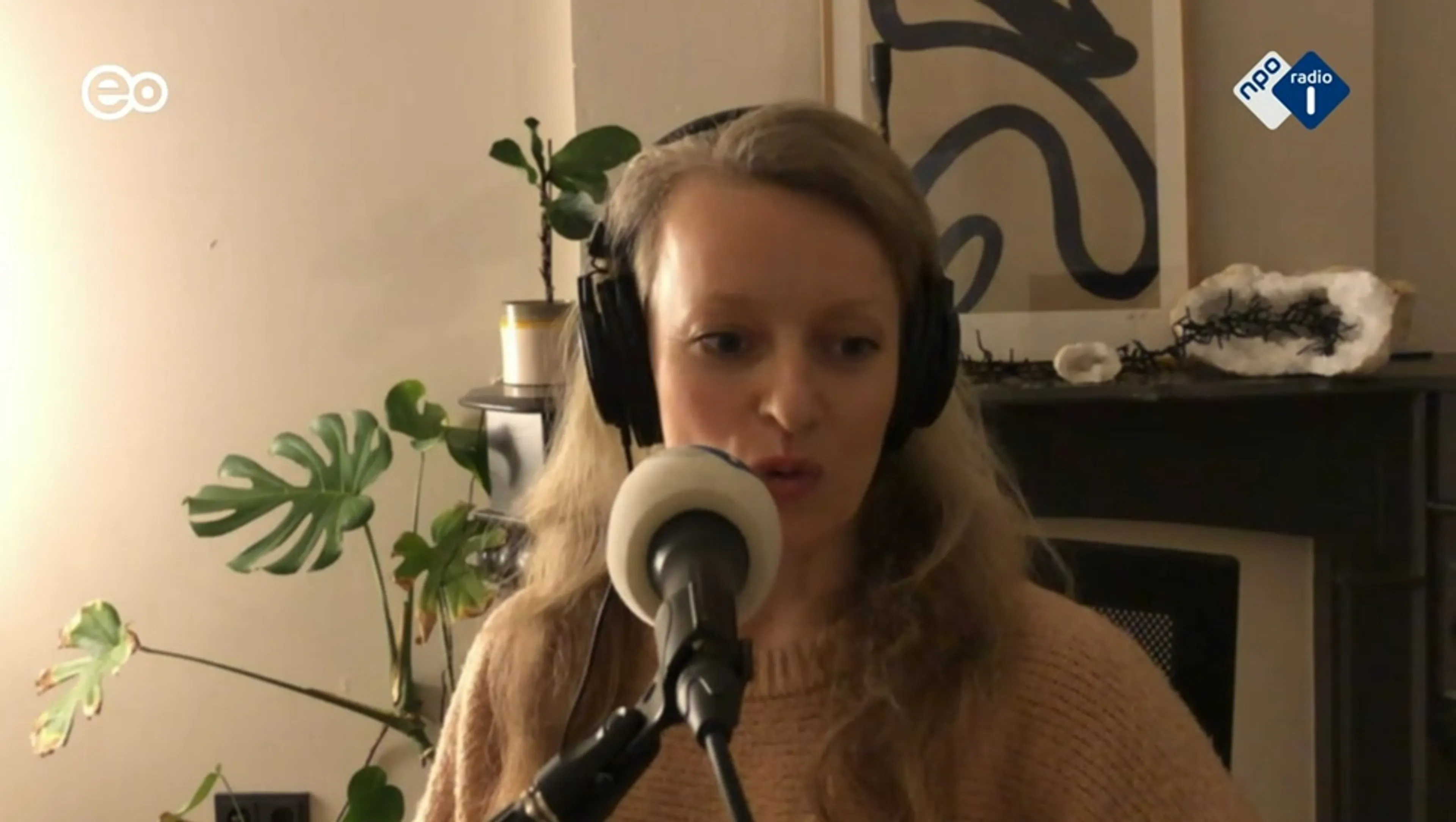 Anna van den Breemer