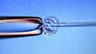 Embryo's kweken voor de wetenschap? 'Dat zet de deur open naar knutselen met DNA'