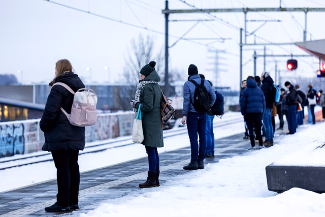 Uitgelichte afbeelding