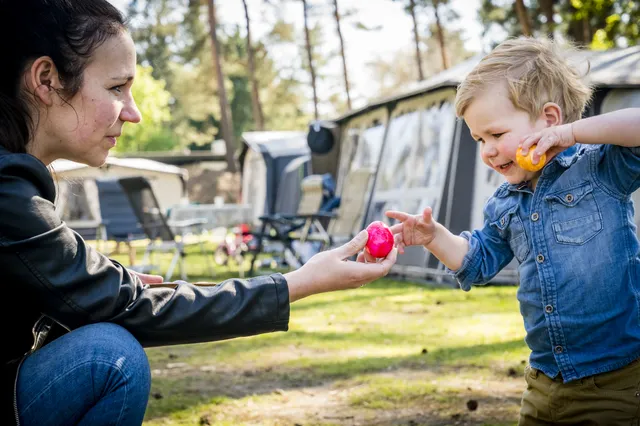 Nederlandse stellen krijgen minder kinderen