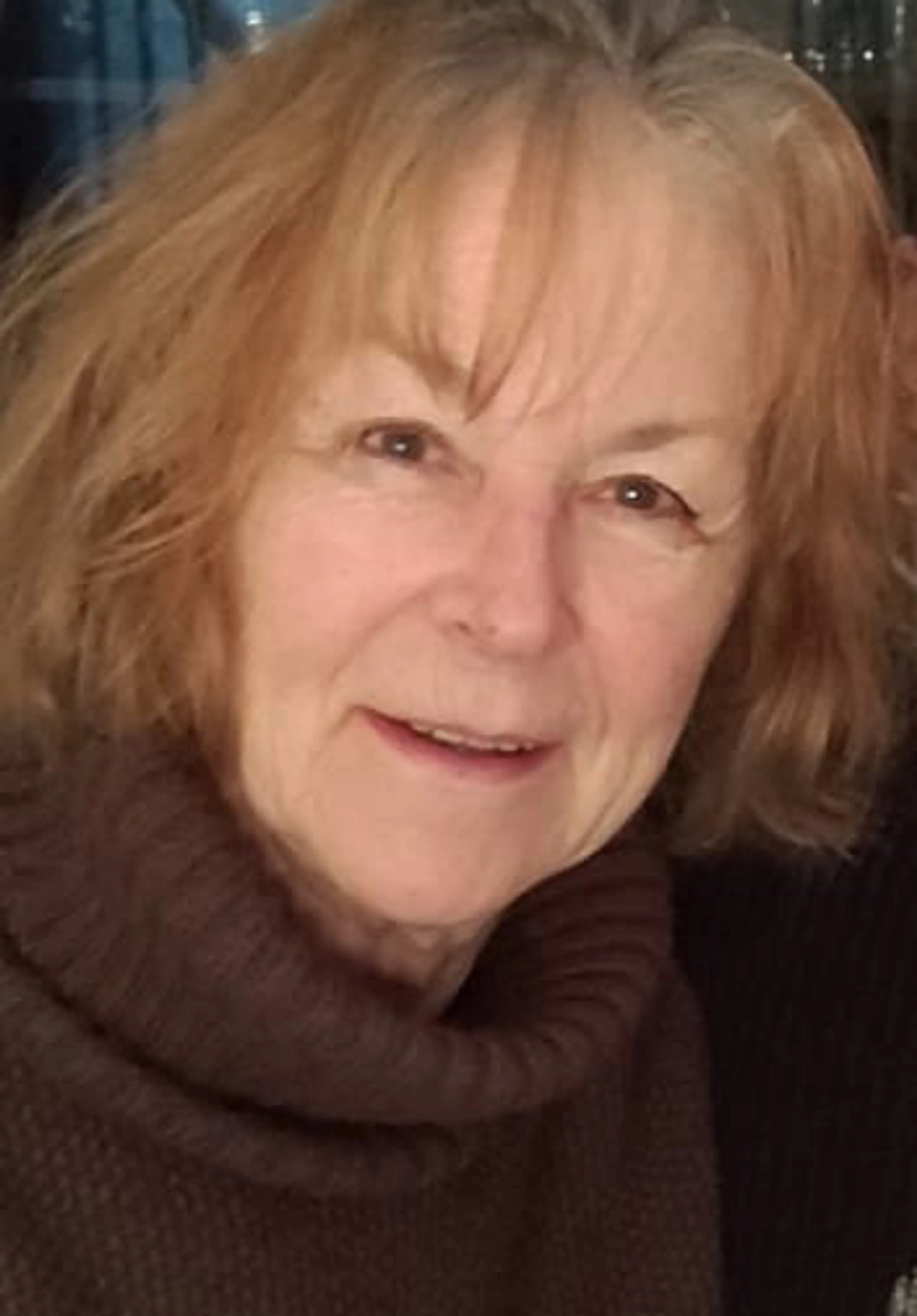 Annelies den Dunnen