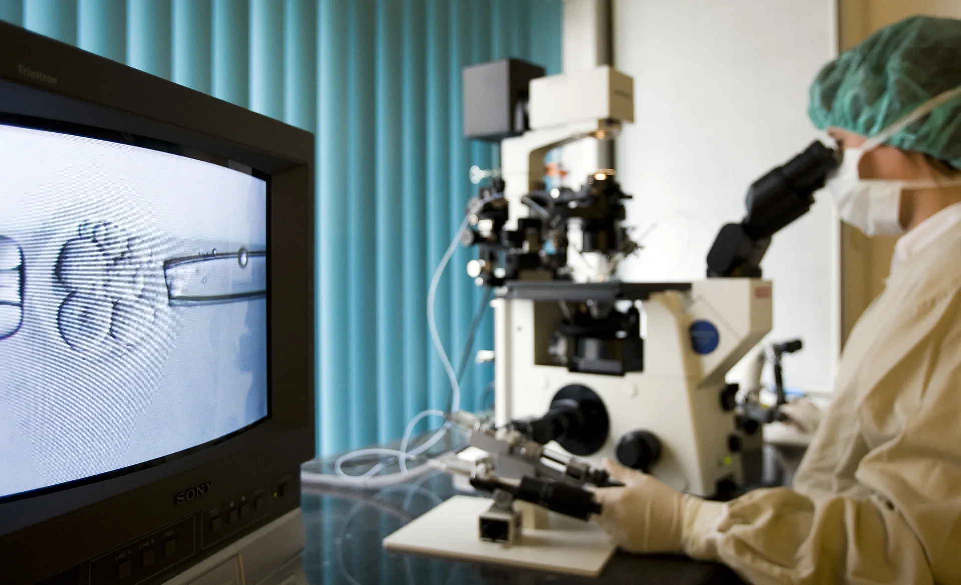 Embryo's kweken voor we­ten­schap­pe­lijk onderzoek: 'Je maakt leven om het vervolgens te vernietige
