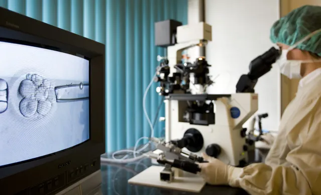IVF, embryo, wetenschappelijk onderzoek.