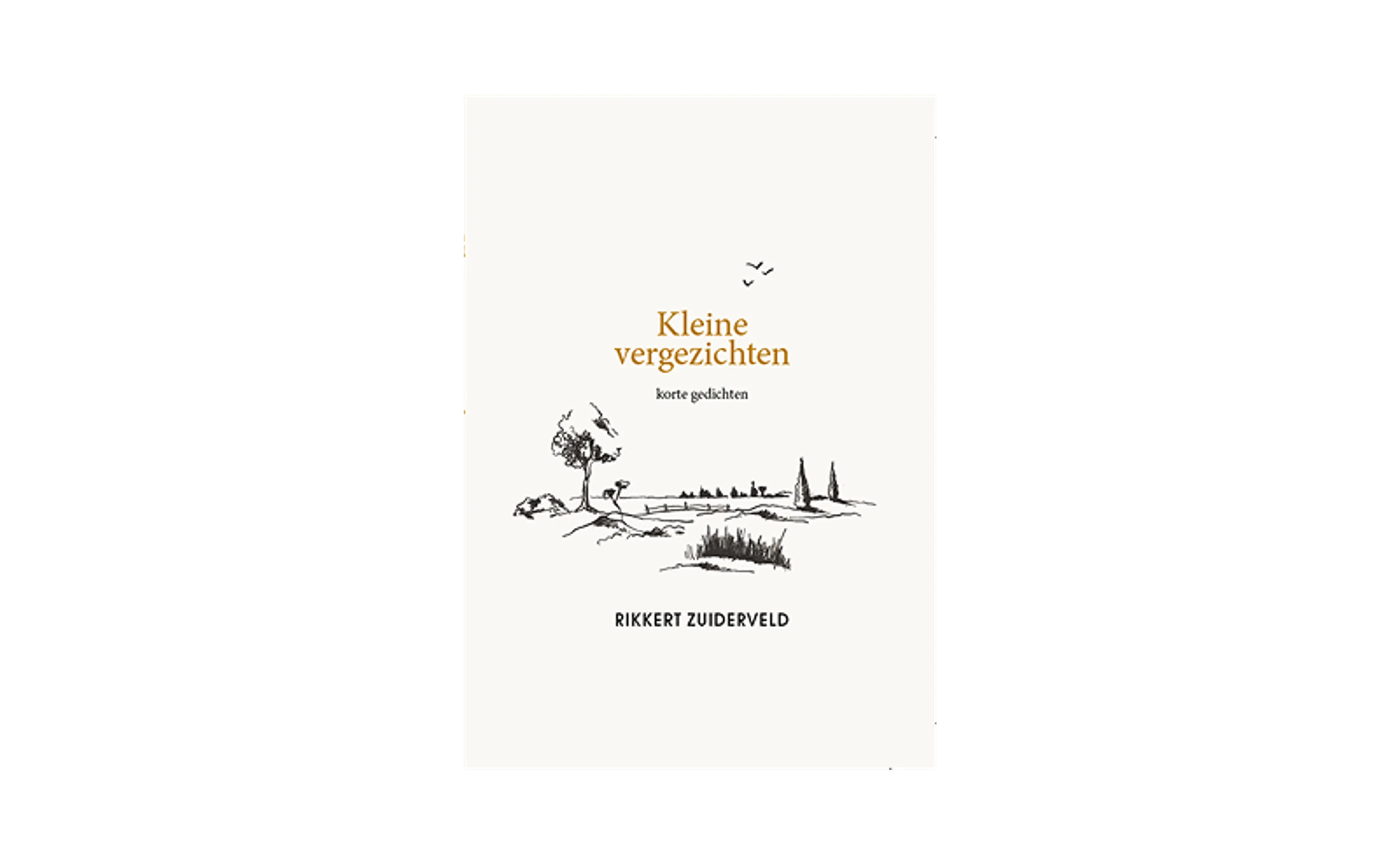 Afbeelding van aanbieding