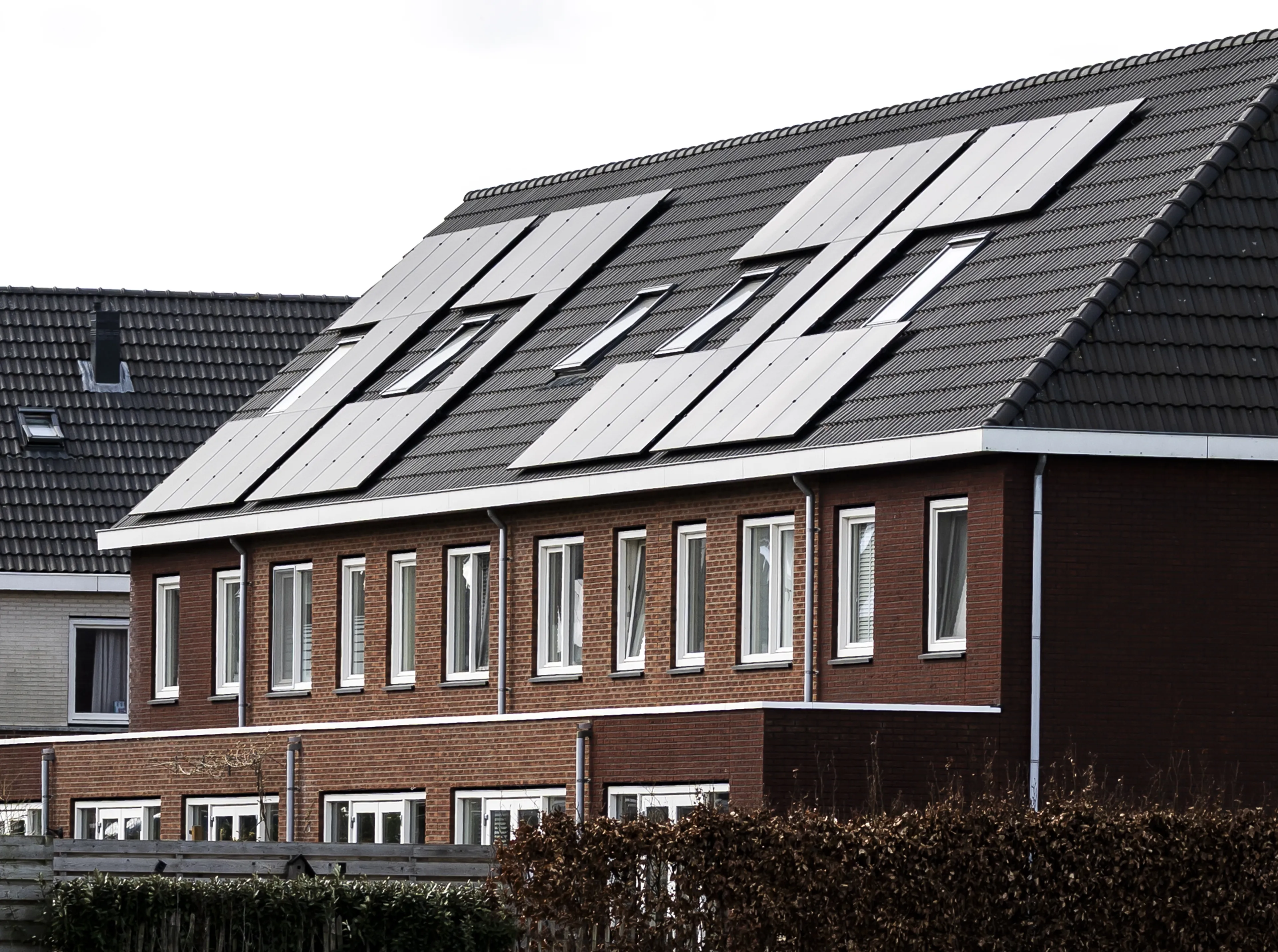 Uitgelichte afbeelding