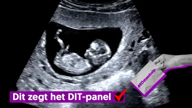 Moet de bedenktijd bij abortus weer verplicht worden? 'Kwetsbaar thema'