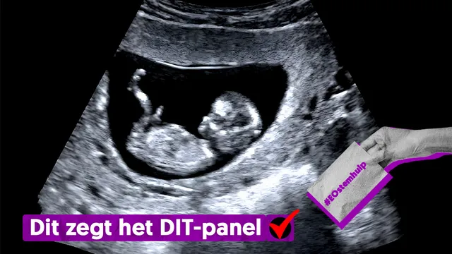 Moet de bedenktijd bij abortus weer verplicht worden?.