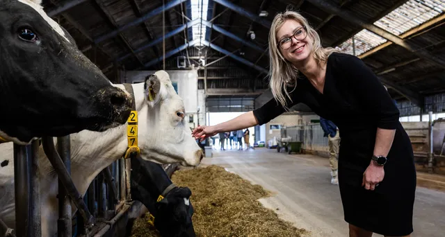 landbouwminister femke wiersma in stal.