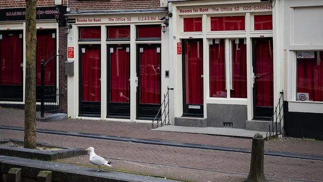 25 jaar legale prostitutie in Nederland. Heeft het opheffen van het bordeelverbod zijn doel bereikt? Totaal niet, zegt journaliste Renate van der Zee.