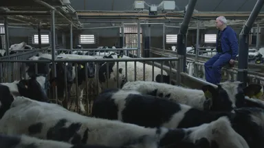 Kan je nog boer zijn in Nederland? 'Overheid helpt ons bedrijf om zeep'