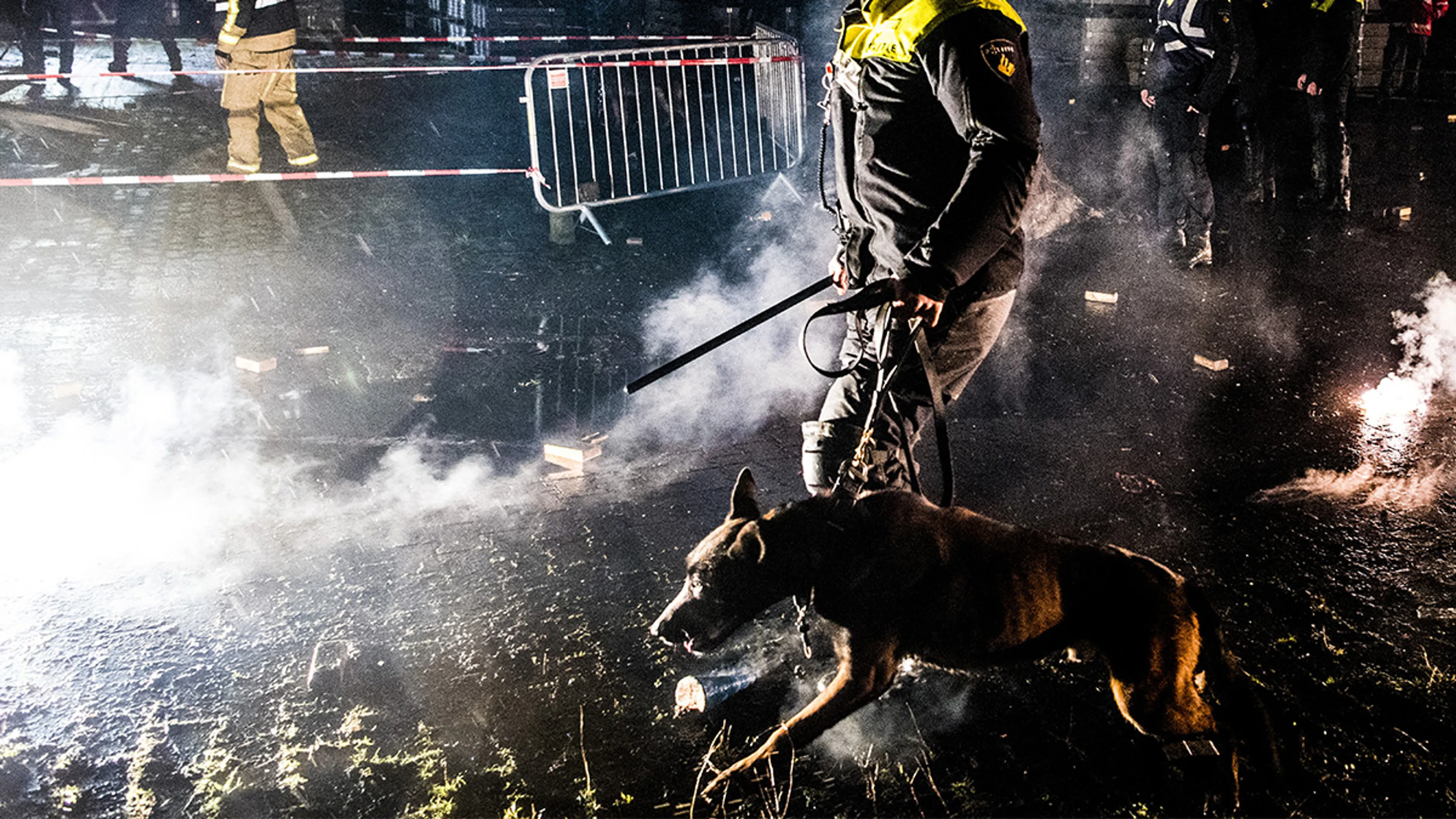 Is het zielig als we politiehonden gebruiken voor levensgevaarlijke situaties?