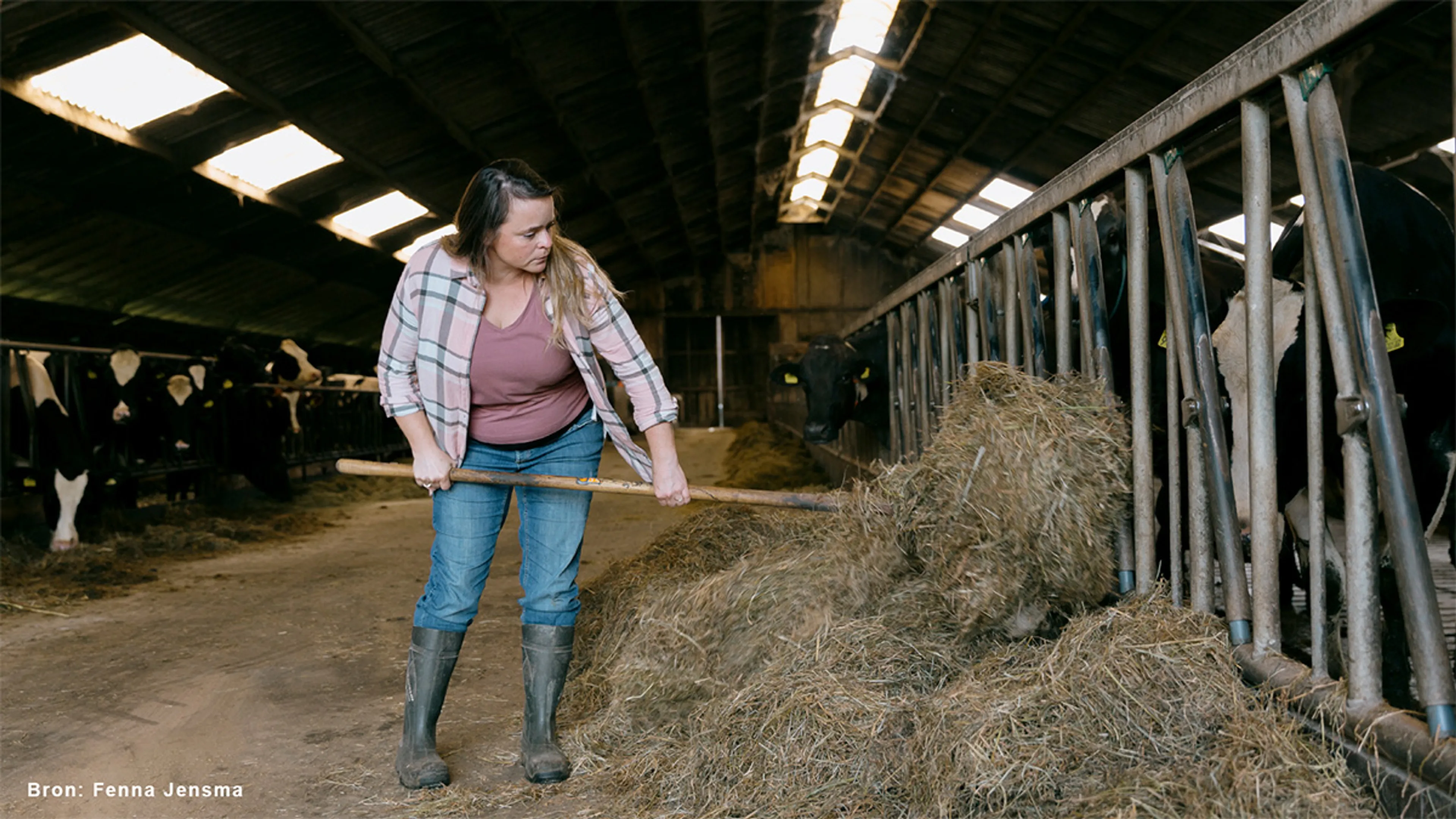Uitgelichte afbeelding