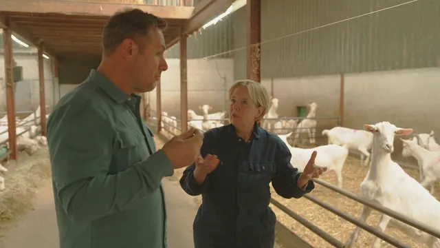 Geitenboerderijen maken mensen ziek.