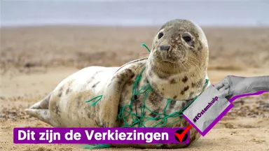 Politieke partijen onder de loep: wat moet er gebeuren met het klimaat?