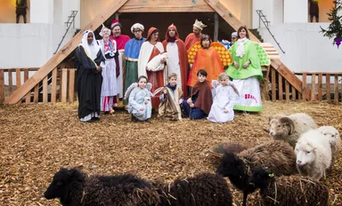 Levende kerststallen: dieren als instrument voor menselijk plezier?