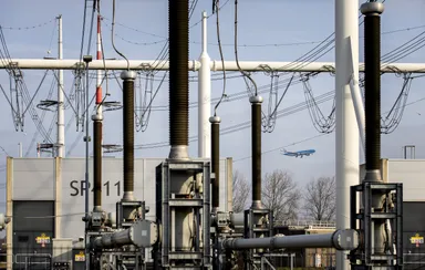 Stroomnet bijna overvol: zien we straks door de hoog­span­nings­ka­bels het bos niet meer?