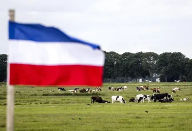 De boeren en hun veestapel: vergeten in verkiezingsperiode?