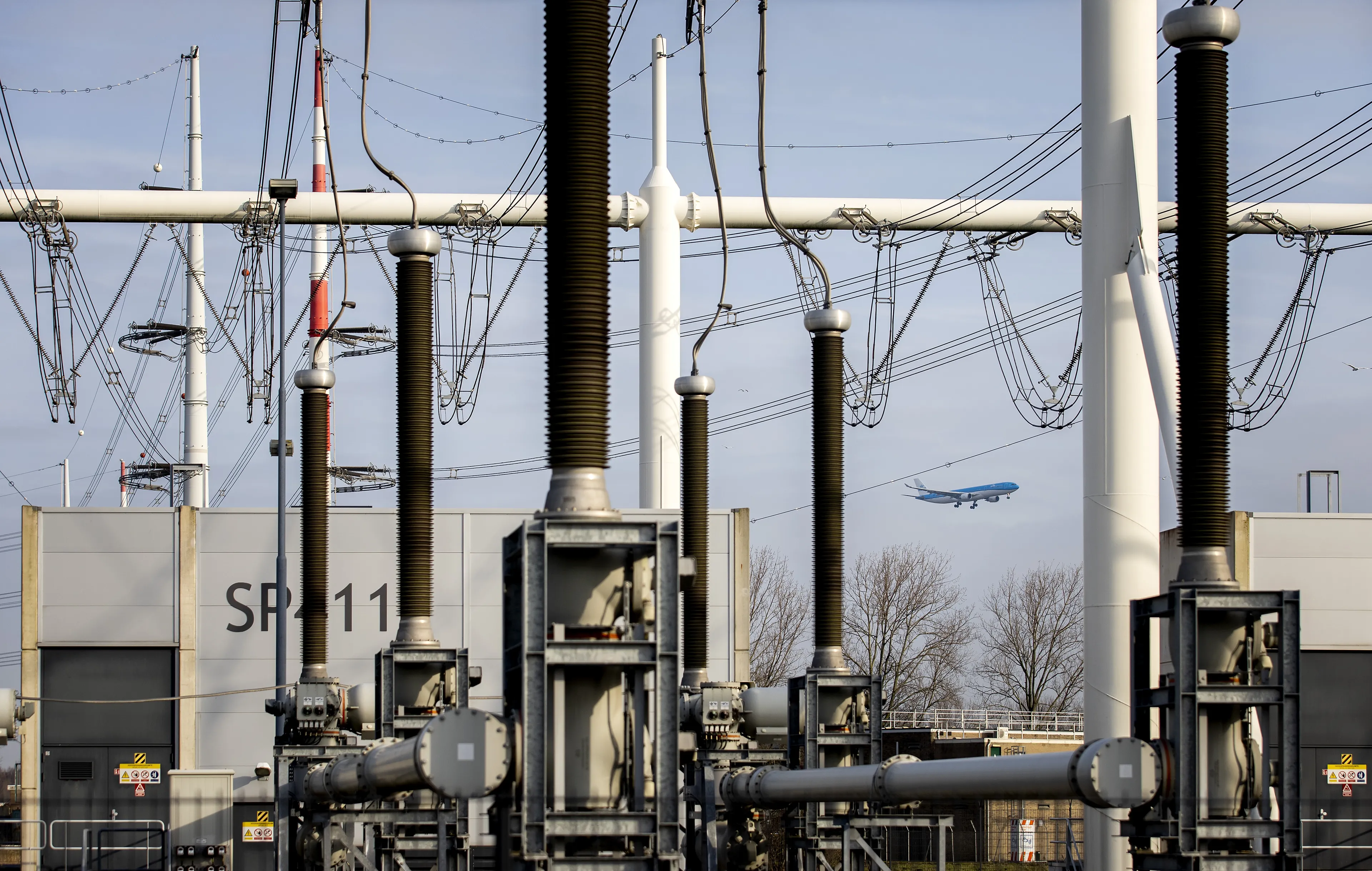 Stroomnet bijna overvol: zien we straks door de hoogspanningskabels het bos niet meer?