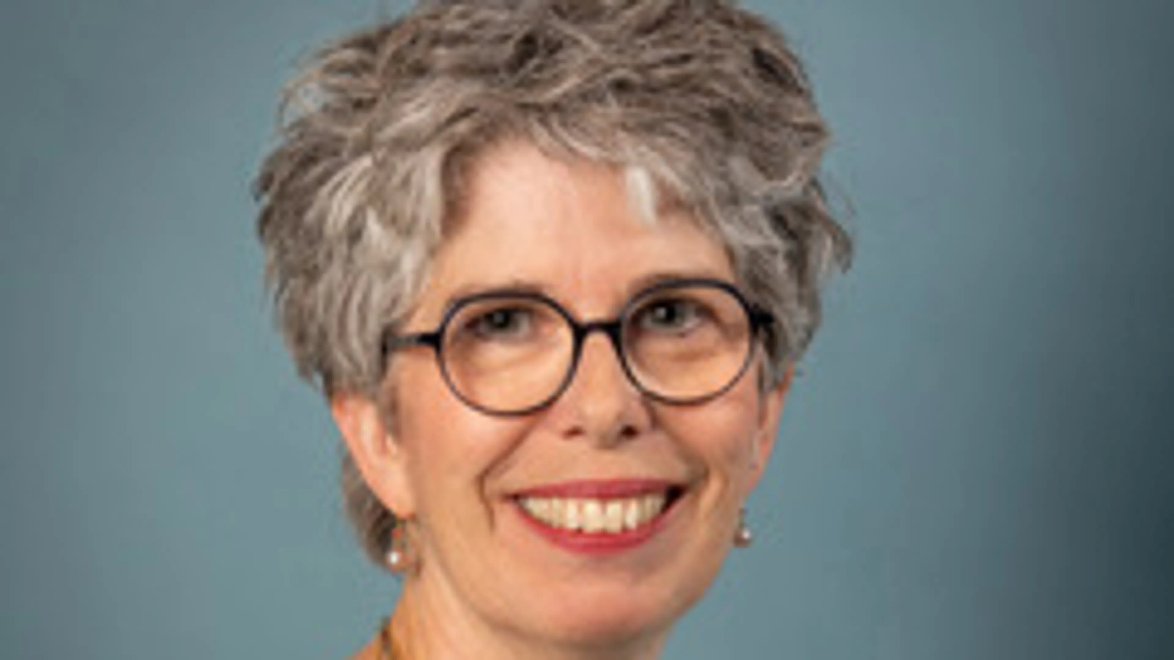 Conny van Meer