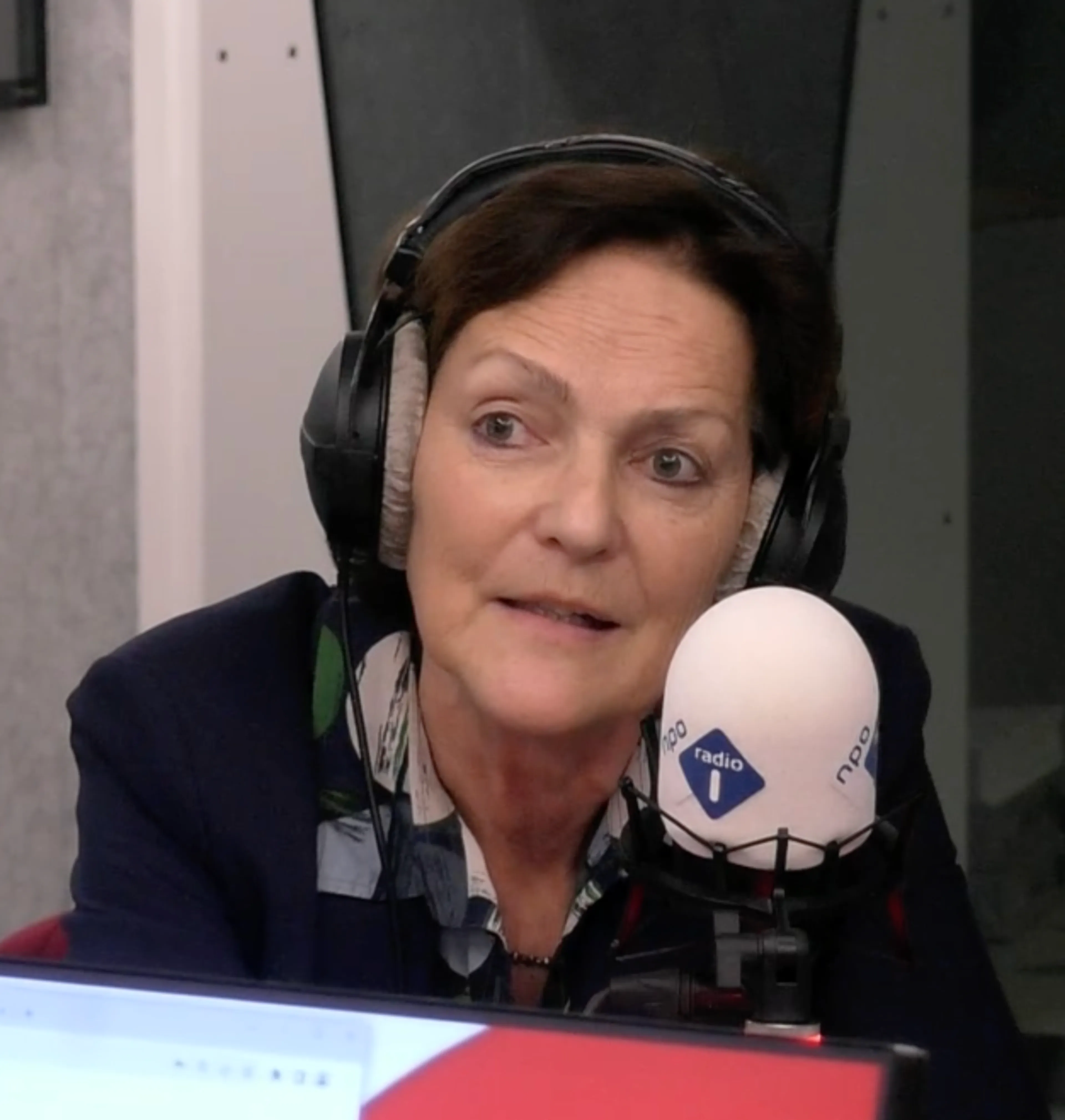 Ineke van der Vlugt