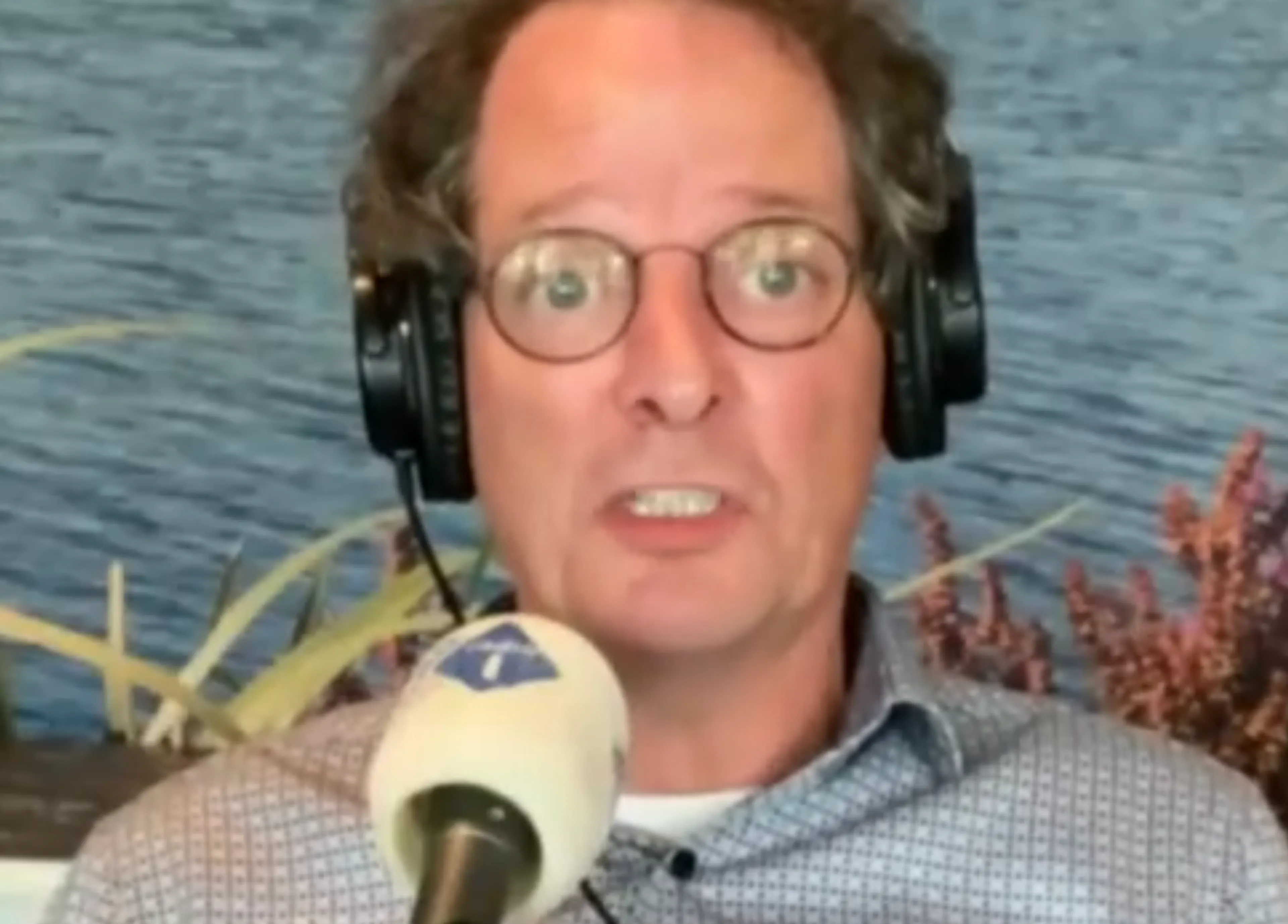 Klaas Harink