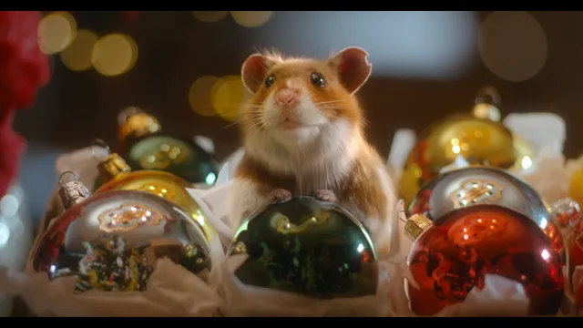 Harry de hamster, kerstreclame.