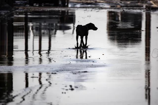Uitgelichte afbeelding