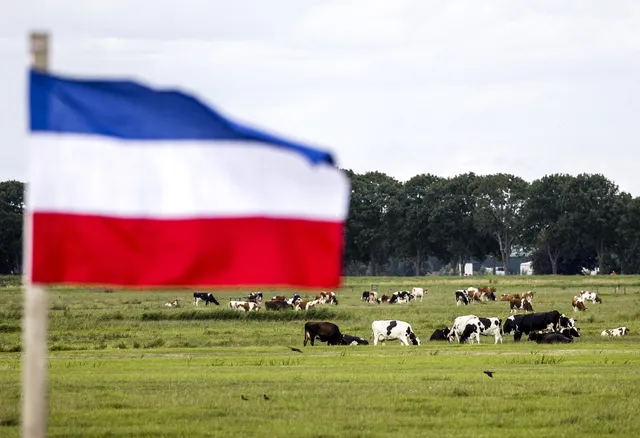 Uitgelichte afbeelding