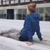Afbeelding van Linde