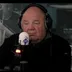 Afbeelding van Pieter Cobelens
