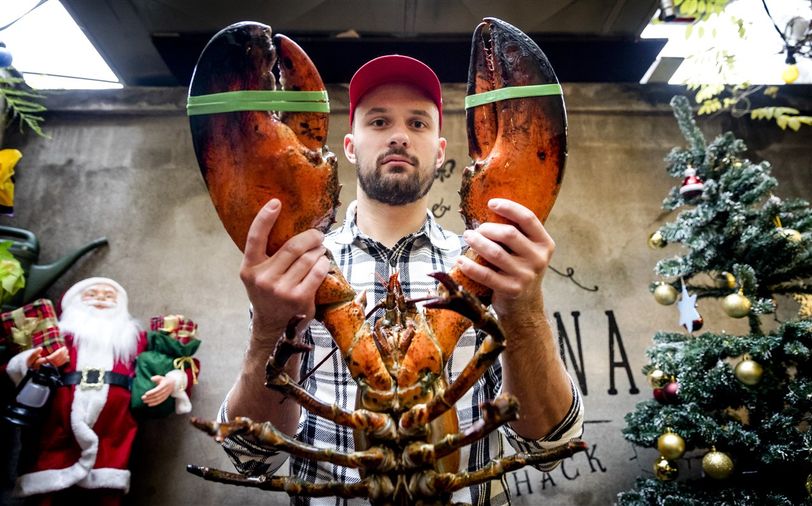 Kreeft levend koken in een restaurant: moet dat kunnen?